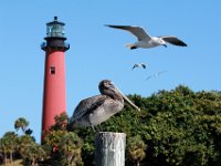 The Jupiter Inlet Lighthouse is located in Jupiter, Florida, on the north side of the Jupiter Inlet. The site for the lighthouse was chosen in 1853